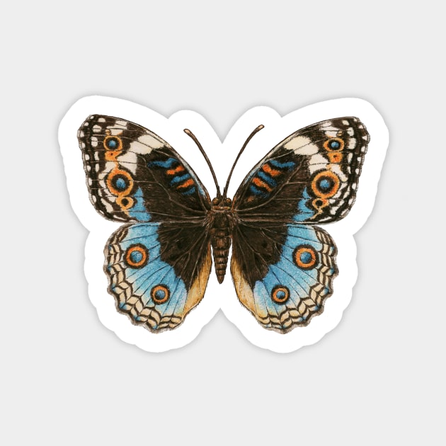 Blue Pansy Butterfly Sticker by katerinamk